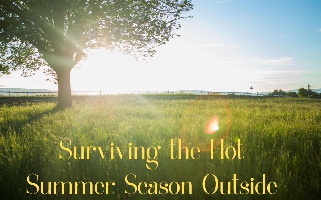 Surviving the Hot Summer Season Outside…