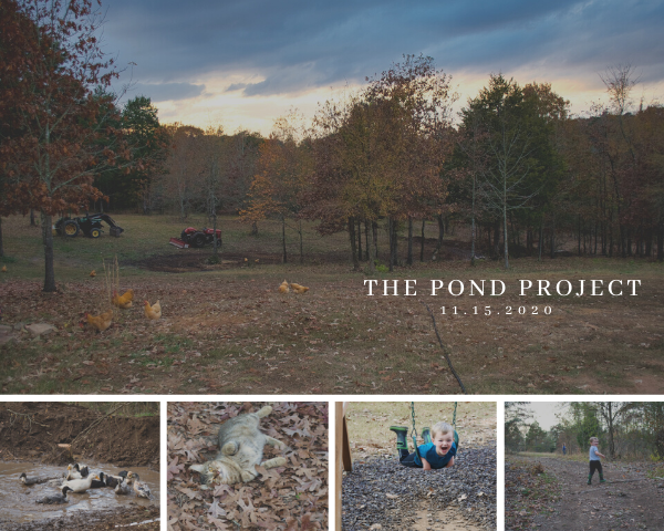 The Pond Project