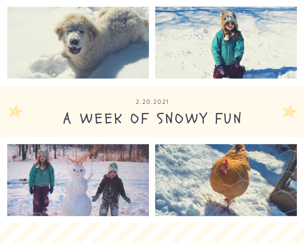 A Week of Snowy Fun