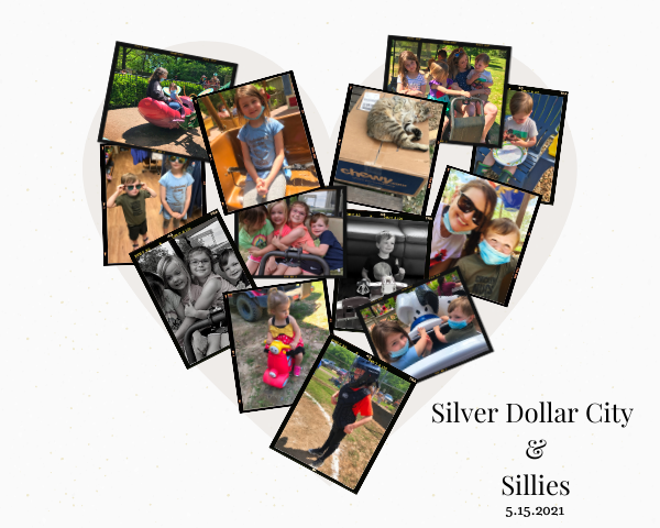 Silver Dollar City & Sillies