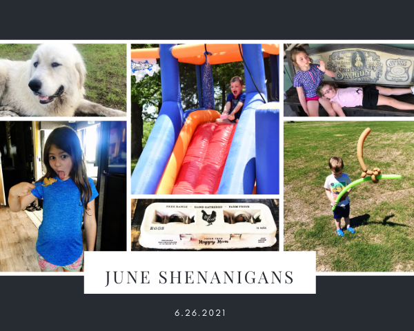 June Shenanigans