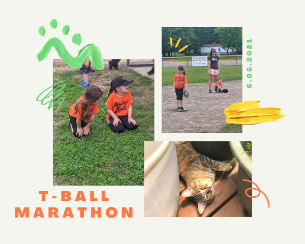 T-Ball Marathon