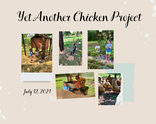 Yet Another Chicken Project!