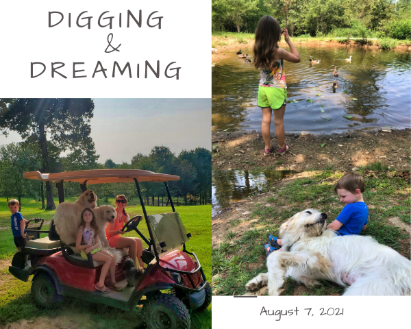 Digging and Dreaming