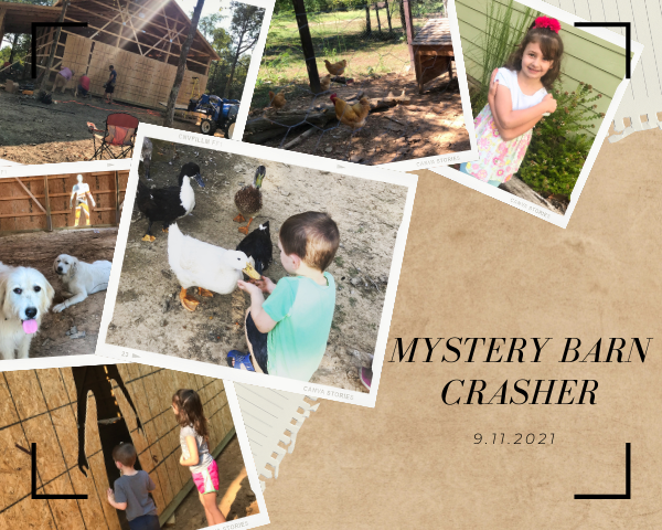 Mystery Barn Crasher