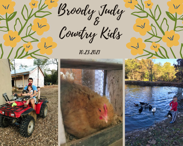 Broody Judy and Country Kids